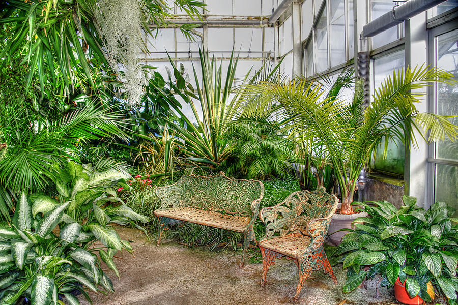 Come Sit With Me - Otts Greenhouse Waterfall Room Photograph by Carol Senske