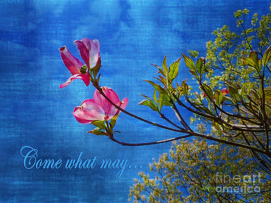 Come What May Digital Art by Dee Flouton