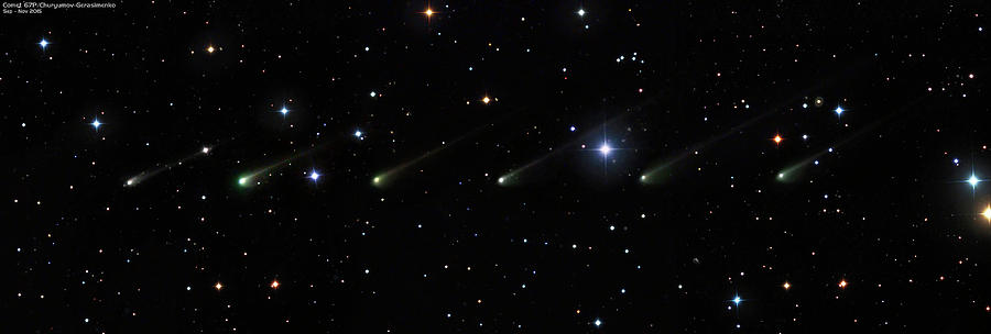 Space Photograph - Comet 67p Churyumov-gerasimenko by Damian Peach