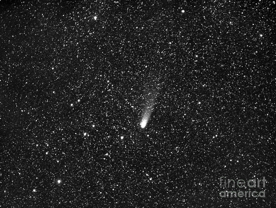 Comet Bradfield Photograph by Chris Cook