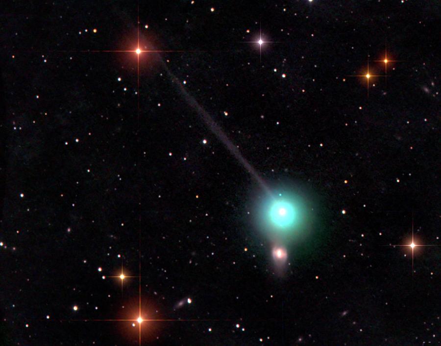 Comet Encke Photograph by Damian Peach