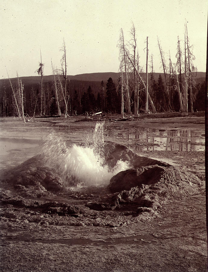 Comet Geyser, A Geyser In The Upper Geyser Basin Photograph by Litz