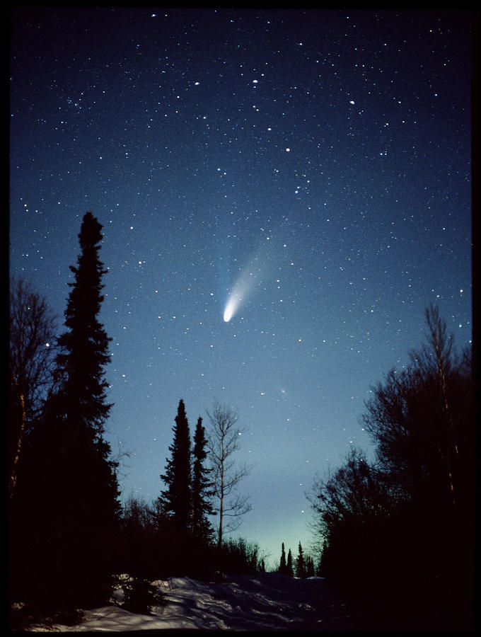 Comet Hale-bopp And Aurora Borealis Photograph by Jack Finch/science Photo Library