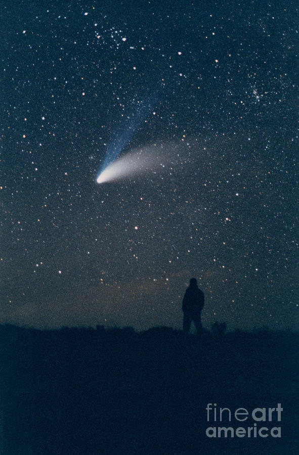 Comet Hale-bopp Photograph by John Chumack