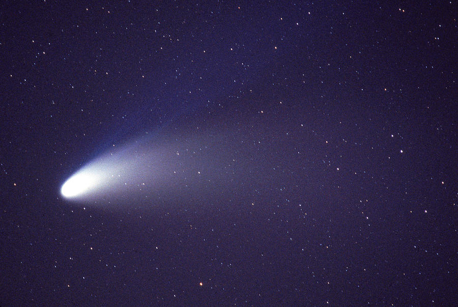 Comet Hale-bopp Photograph by John W. Bova - Fine Art America