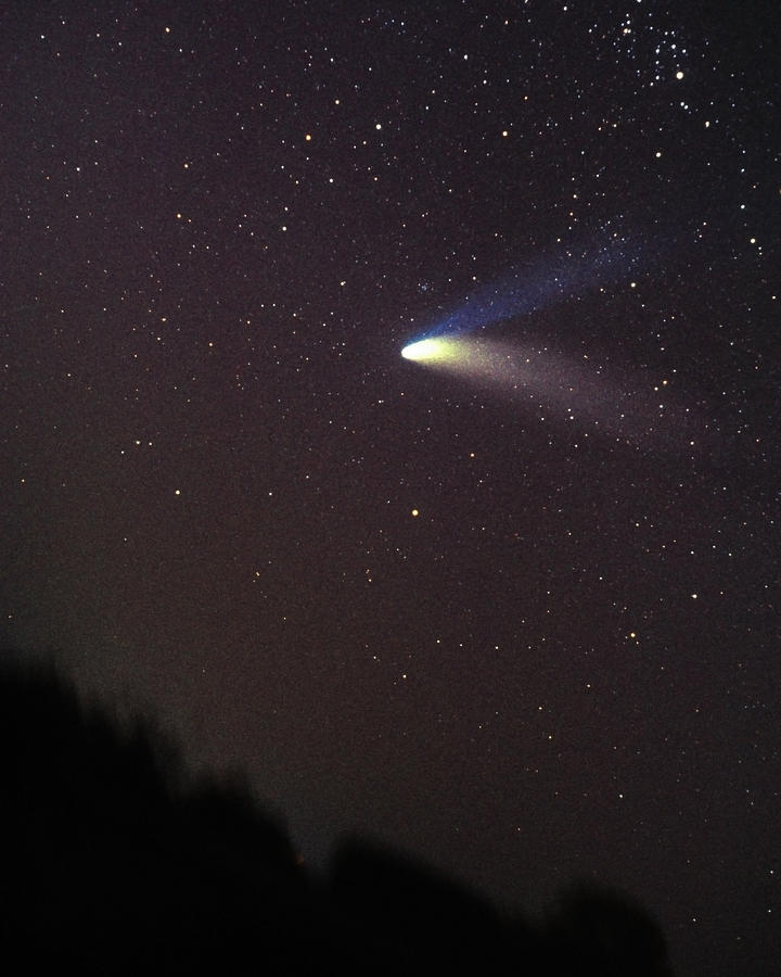 Comet Hale-Bopp on 4-5-97 Photograph by Alan Vance Ley