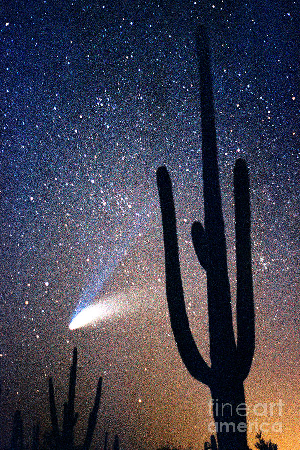 Comet Hale - Bopp With Saguaro Photograph by Douglas Taylor