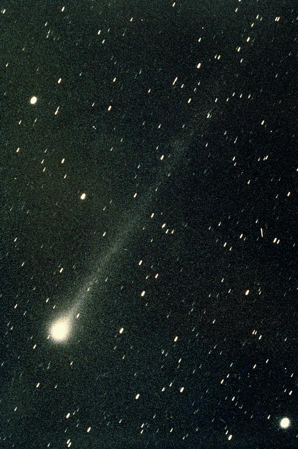 Comet Halley Photograph by Royal Greenwich Observatory/science Photo Library