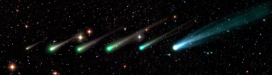 Comet Ison Photograph by Damian Peach