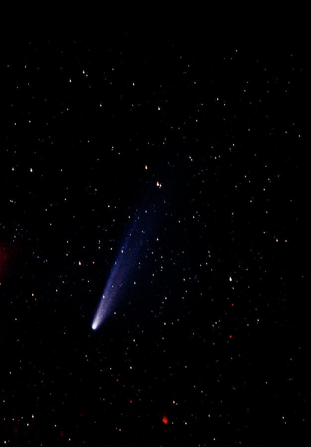 Comet Kohoutek Photographed In January 1974. Photograph by Dennis Di  Cicco/science Photo Library