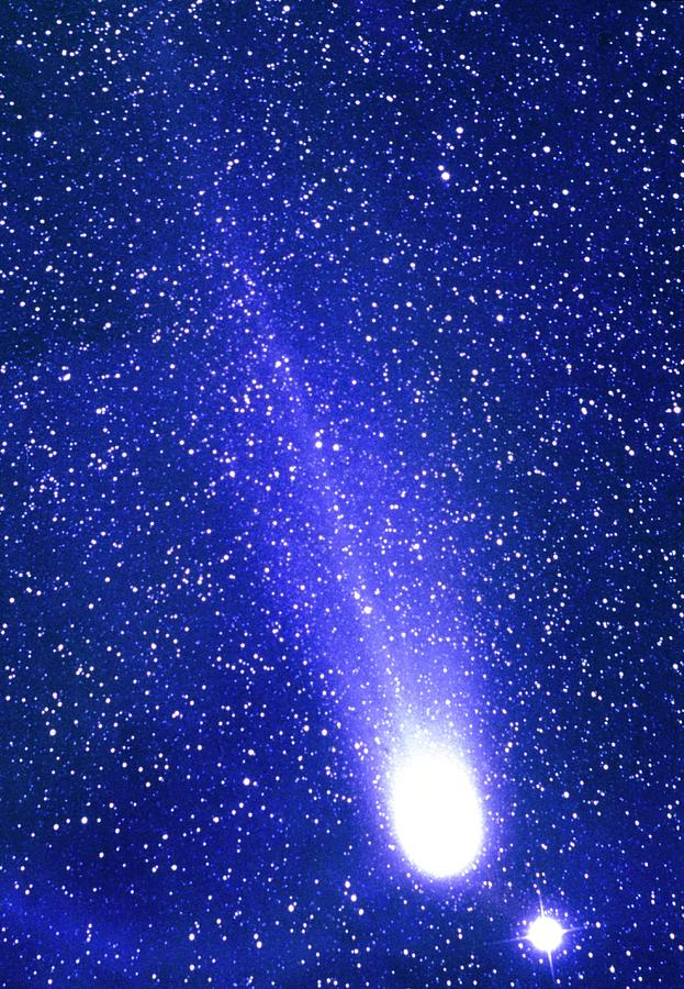 Comet Levy Photograph by Gordon Garradd/science Photo Library