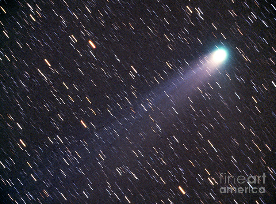 Comet Photograph - Comet Neat C2001 Q4 by Chris Cook