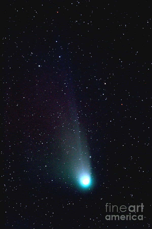 Comet Neat Photograph by John Chumack