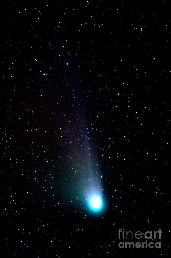 Comet Neat Q4 Photograph by John Chumack