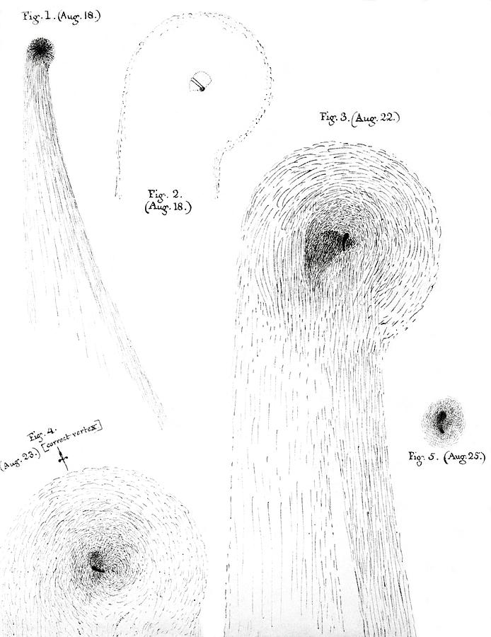 Comet Of 1862 Photograph By Royal Astronomical Society Science Photo 