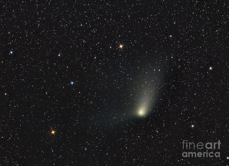 Comet Panstarrs Photograph by Reinhold Wittich