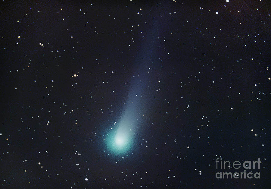 Comet Swift-tuttle Photograph by Chris Cook