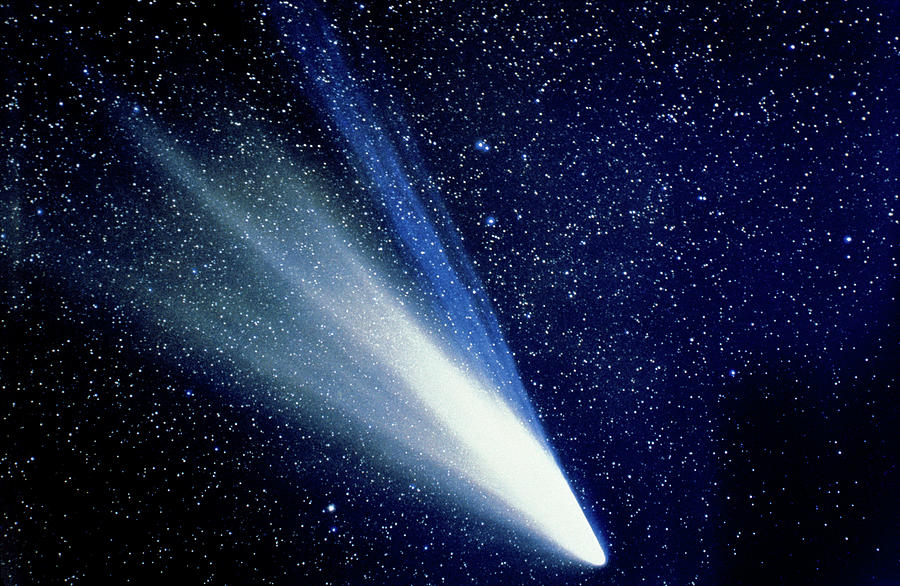 Comet West In March 1976 Photograph by Rev. Ronald Royer/science Photo Library