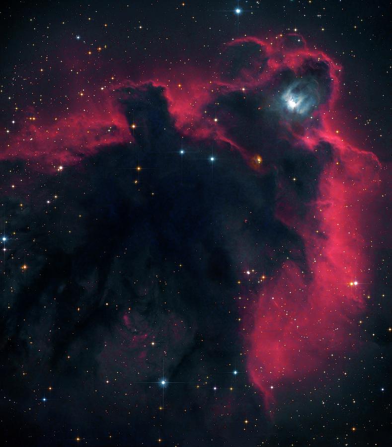 Cometary Globule Ldn 1622 In Orion Photograph by Robert Gendler