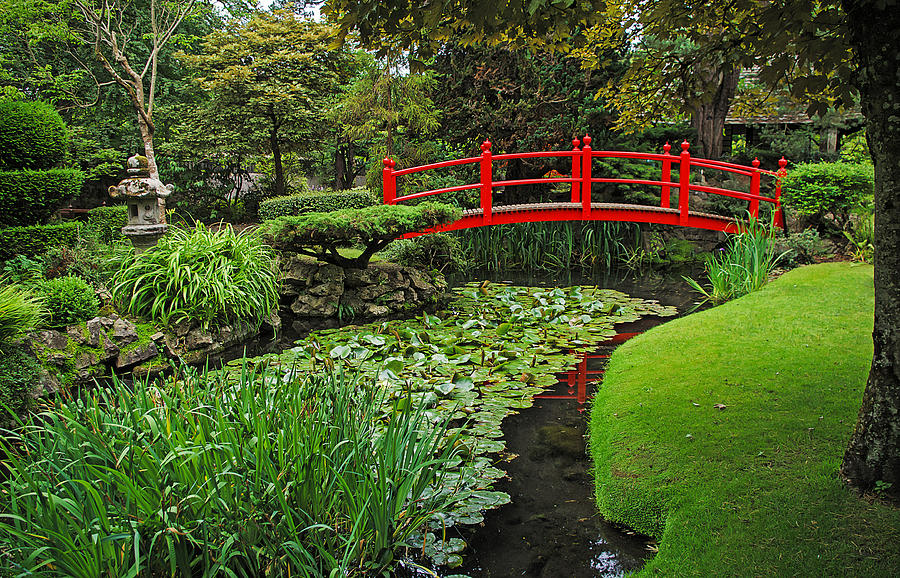 Comfort For The Soul - The Bridge Of Life Photograph By Tony Crehan 