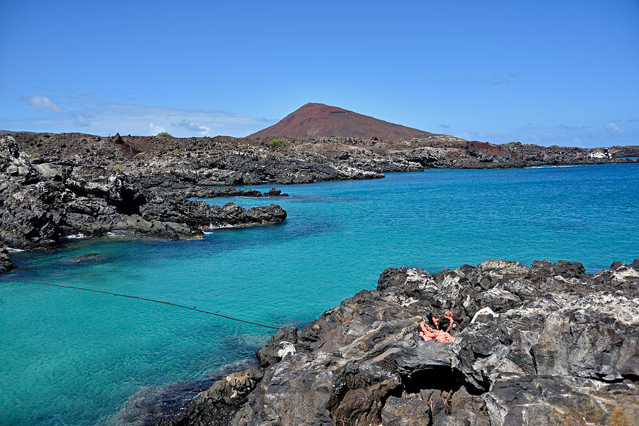 Comfortless Cove, Ascension Island Photograph by Robert Kennett