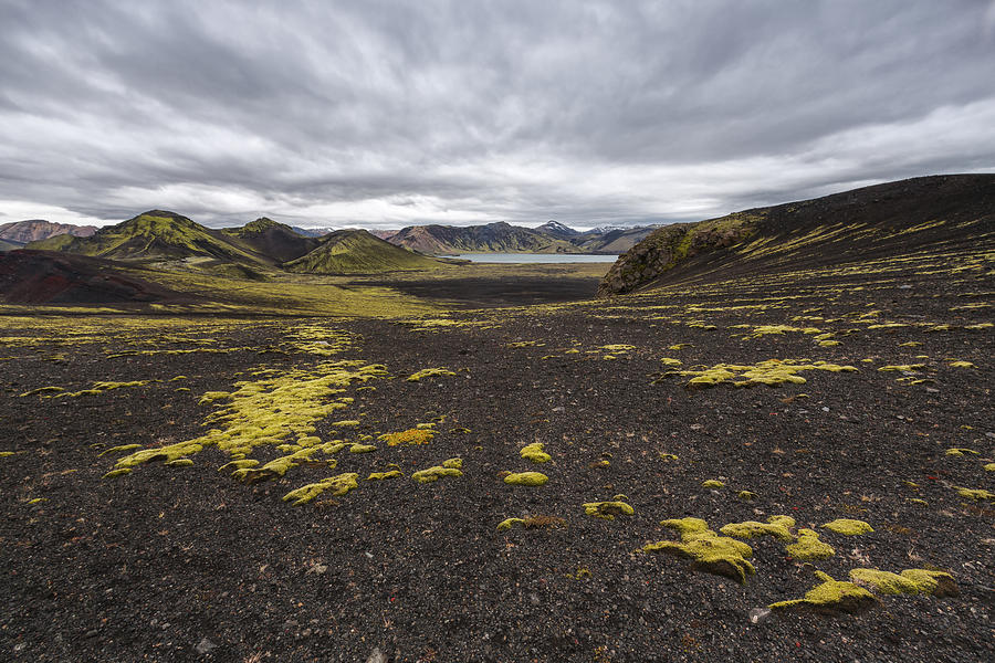 Nature Photograph - Coming and Going by Jon Glaser