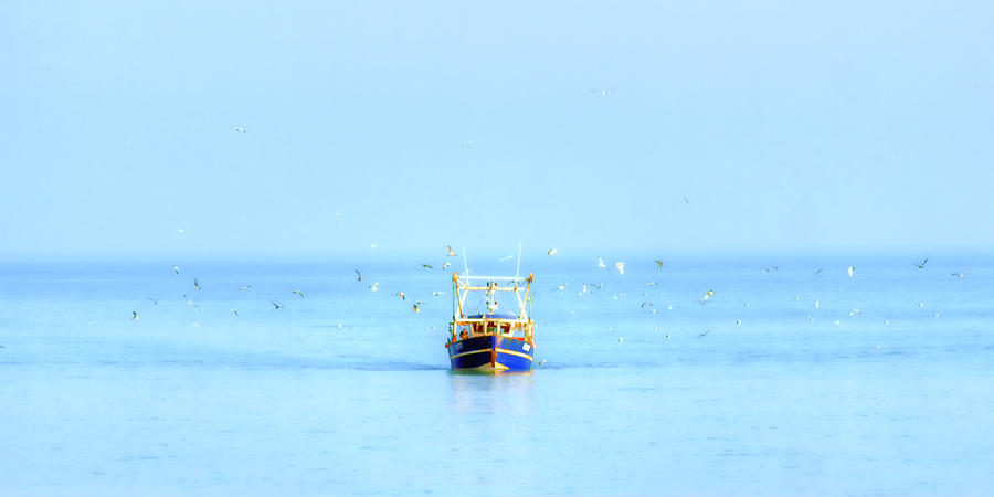 Boat Photograph - Coming Home by Sharon Lisa Clarke