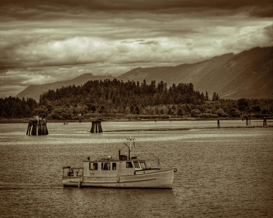 Tree Photograph - Coming Into Port by Randy Hall