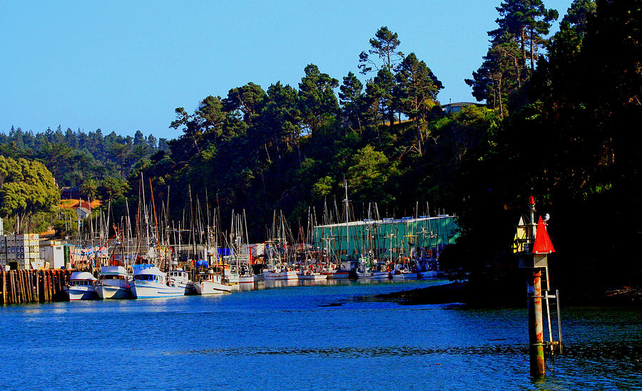 Commercial Fishing Harbor Photograph by Joseph Coulombe
