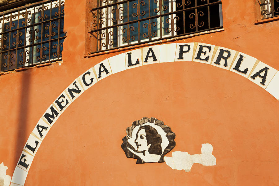 Commercial Sign Of A Bar, Flamenca La Photograph by Panoramic Images