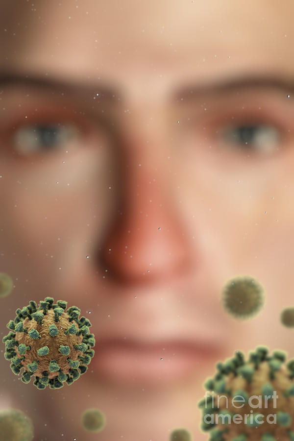 Common Cold Virus Photograph by Science Picture Co