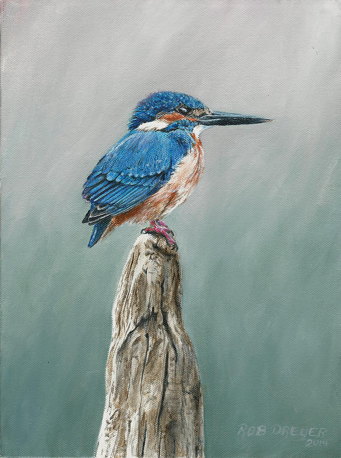 Common Kingfisher Painting by Dreyer Wildlife Print Collections - Fine ...