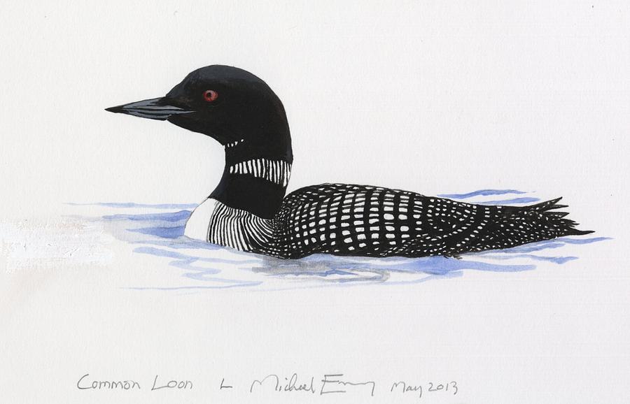 Bird Painting - Common Loon by Michael Earney