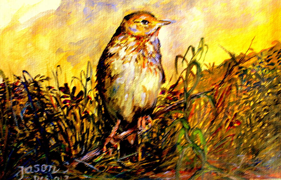 Common Pipit Painting by Jason Sentuf