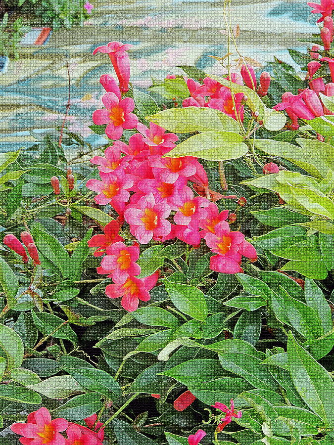 Como la flor by Iustin Cret Como la flor by Iustin Cret