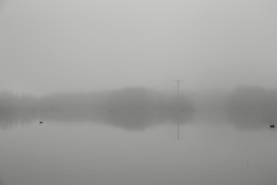 Companions through the fog Photograph by Kunal Mehra