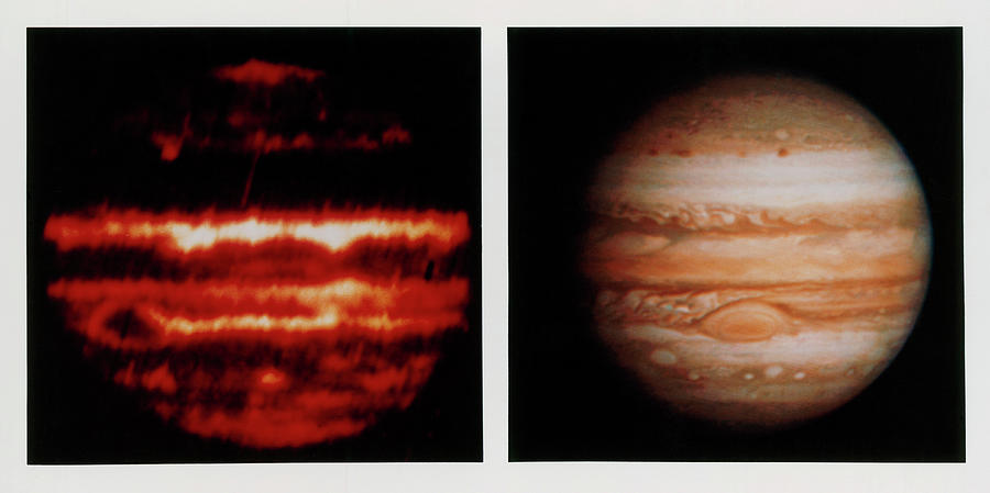 Planet Photograph - Comparison Of Infrared & Optical Images Of Jupiter by Nasa/science Photo Library