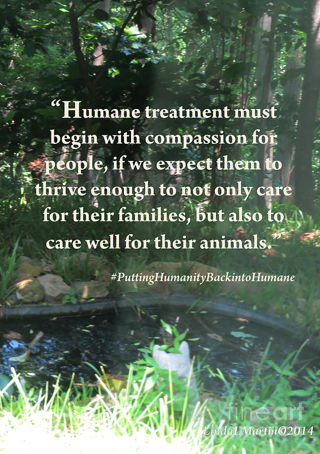 Compassion Quote Photograph by Linda L Martin