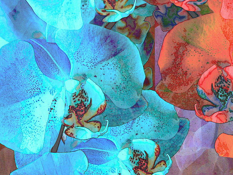 Complementary Blooms Digital Art by Lynda Lehmann