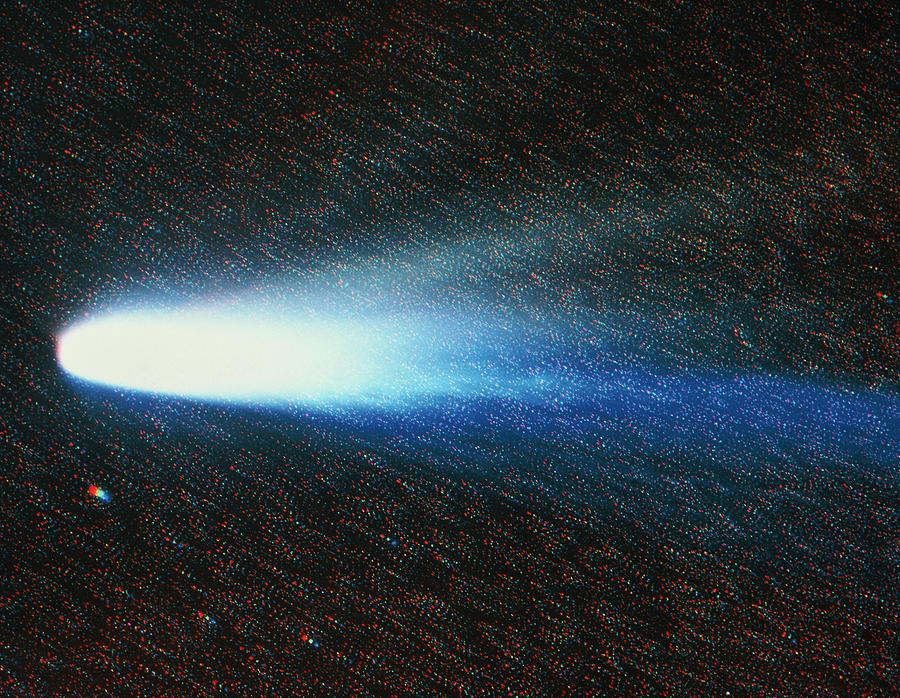 Composite Image Of Comet Halley Photograph by Royal Observatory, Edinburgh/science Photo Library