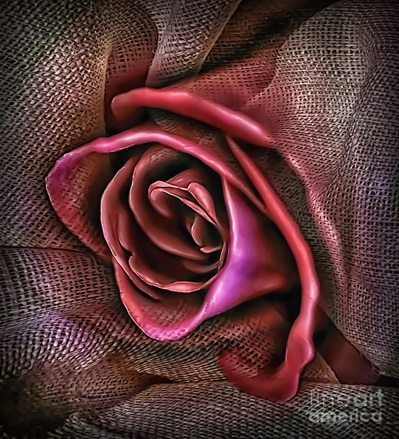 Rose in Burlap 2 Photograph by Walt Foegelle