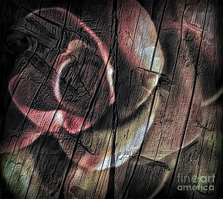 Rough Wood Rose 1 Photograph by Walt Foegelle