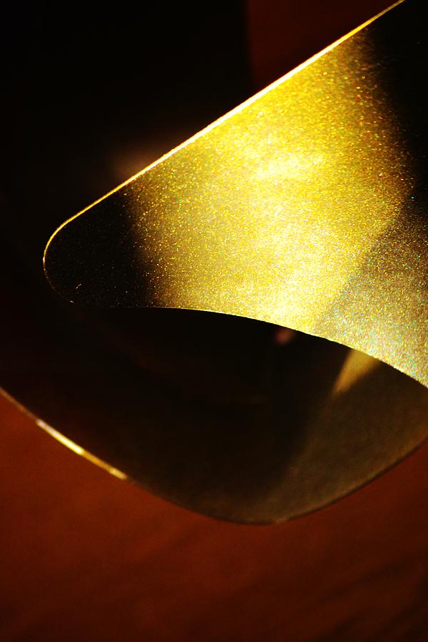 Composition In Gold Photograph by Tamara Michael