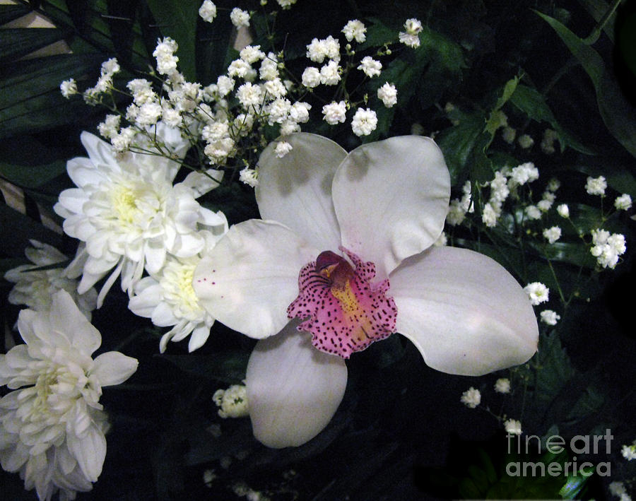 Orchid Photograph - Composition With a Pink Orchid by Ausra Huntington nee Paulauskaite