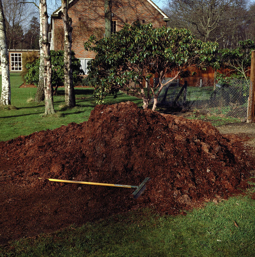 Compost Heap Photograph by Science Photo Library