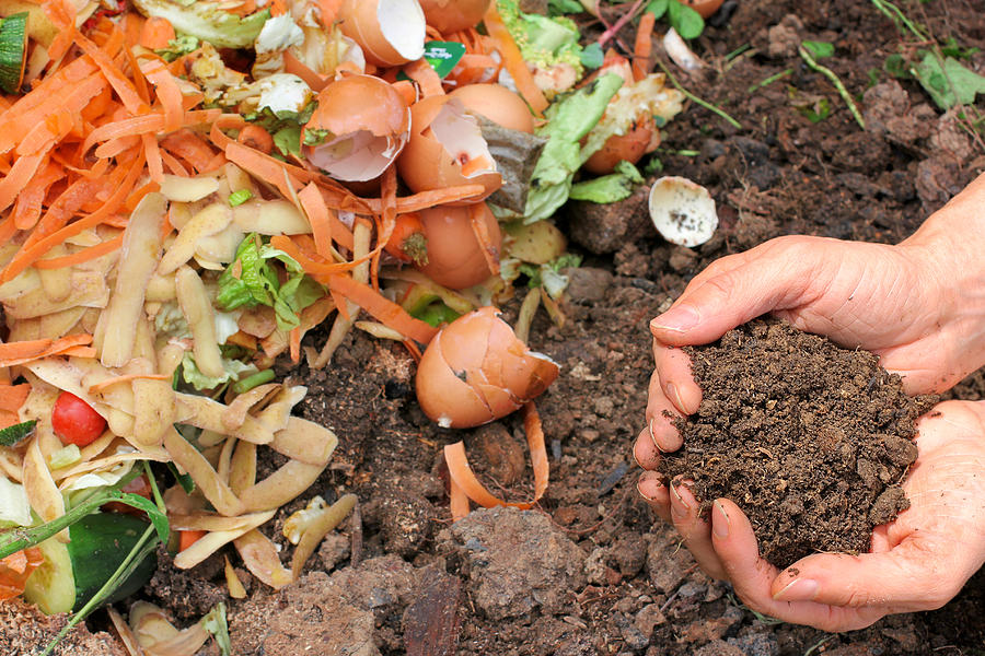 Compost with composted earth Photograph by Terra24