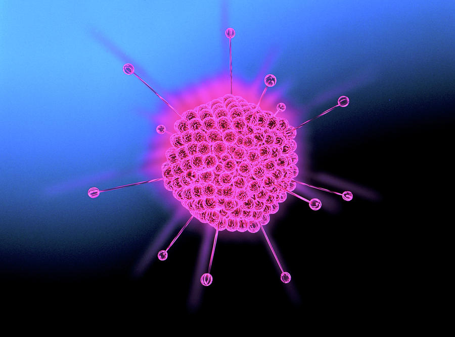 Computer Artwork Of An Adenovirus Photograph by Alfred Pasieka/science Photo Library