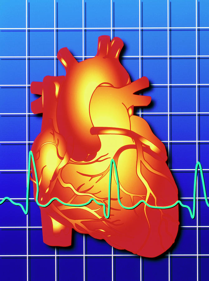 Computer Artwork Of Ecg Trace On A Healthy Heart Photograph by Alfred