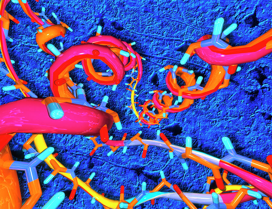 Computer Artwork Of Part Of A Prion Protein Photograph by Alfred Pasieka/science Photo Library