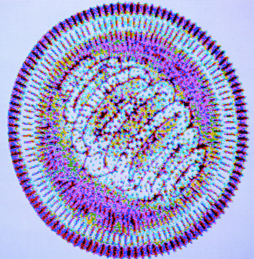 Computer Artwork Of The Influenza Virus Photograph by Alfred Pasieka/science Photo Library